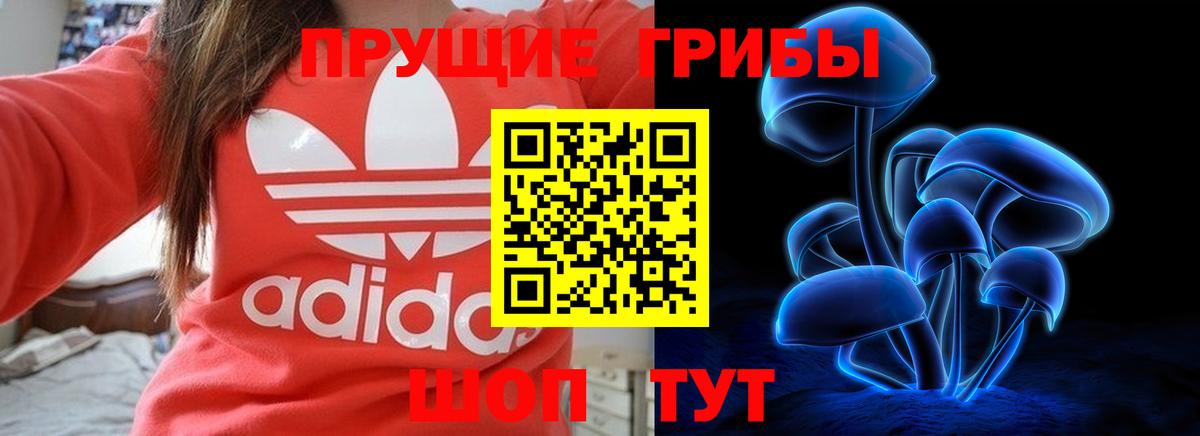 Галлюциногенные грибы Psilocybe  Вход с VPN  купить   Унеча  Псилоцибиновые грибы Psilocybine cubensis 